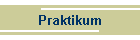 Praktikum